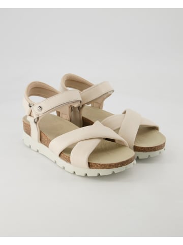 PANAMA JACK Offene Schuhe in Beige