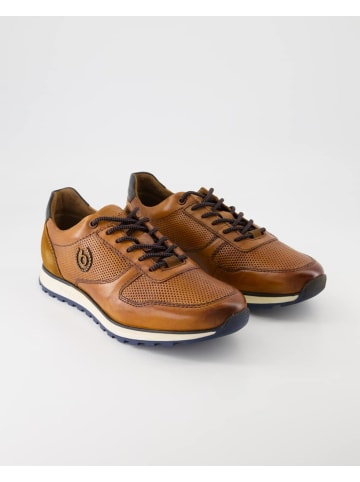 bugatti shoes Sneaker low in Braun