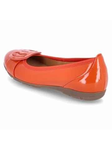 Gabor Ballerinas in Orange