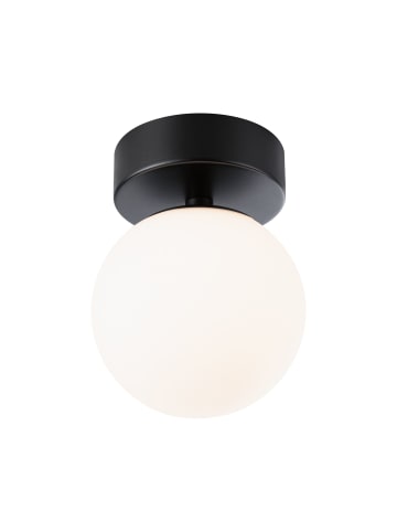 paulmann Selection Bathroom LED Deckenleuchte Gove