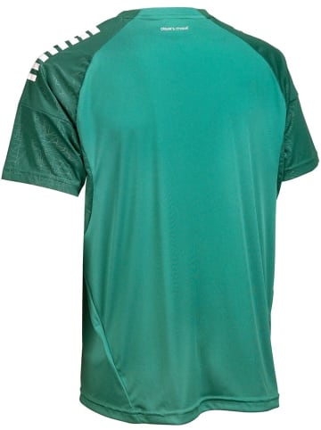 Derbystar Kinder Trikot "Trikot Kurzarm Madrid V25" in Grün