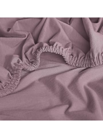 Erwin Müller Single-Jersey Boxspringbett-Spannbettlaken Freising in mauve