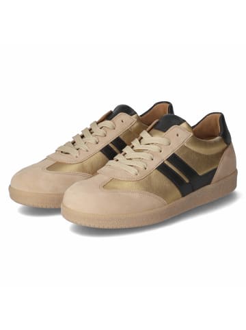 Gabor Low Sneaker in gold