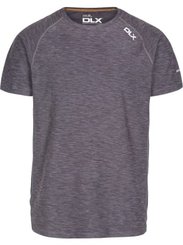 DLX T-Shirt in Grau