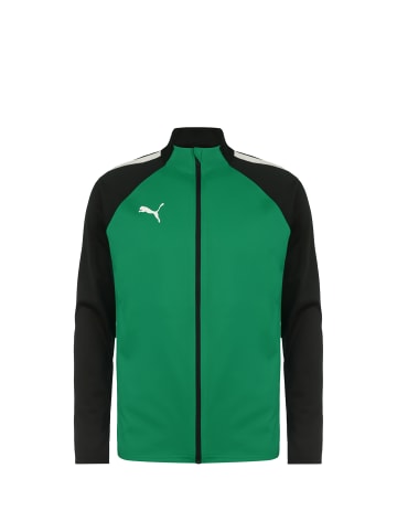 Puma Trainingsjacke TeamLIGA in grün / schwarz