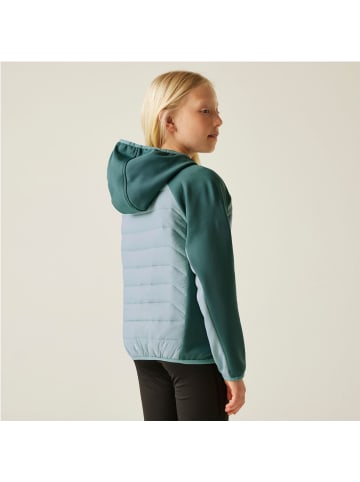 Regatta Kielder IX Hybrid Jacke in Mint