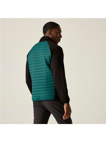 Regatta Clumber Hybridjacke in Grün