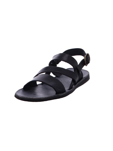 BRADOR Schnürschuh in schwarz