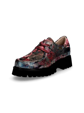 LAURA VITA Schnürschuhe Ifcigo 62 in Metallic Multi