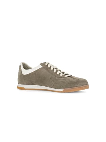 Gabor Sneaker low in grün