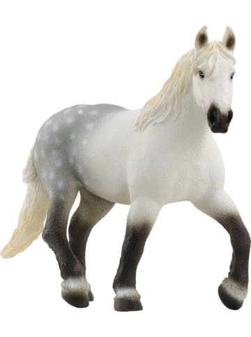 Schleich Percheron Stute in Mehrfarbig ab 3 Jahre