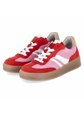 Gabor Low Sneaker in rosa