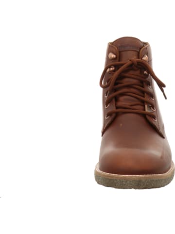 PANAMA JACK Schnürstiefeletten in dunkelbraun