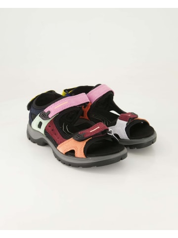 Ecco Sandalen in Mehrfarbig