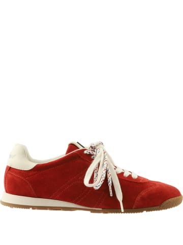 Högl Sneaker in rot