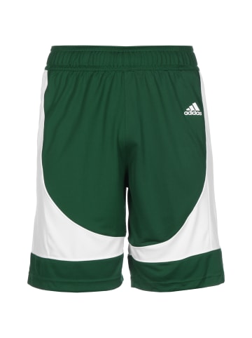 adidas Performance Trainingsshorts N3XT L3V3L Prime Game in dunkelgrün / weiß