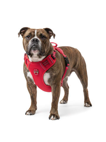 Reichstadt Reichstadt  Hundegeschirr  25RSP083 Red M