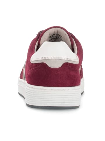 Pius Gabor Sportliche Schnürschuhe in Rot