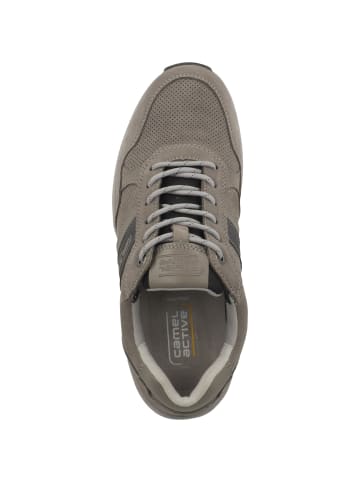 Camel Active Sneaker low 53EV001 in grau