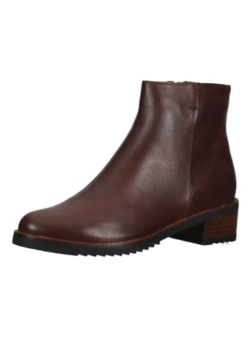 Everybody Stiefelette in Braun