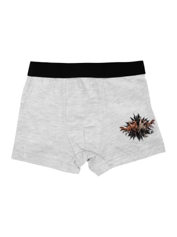 United Labels 2er Pack Jurassic World Boxershorts - Unterwäsche Unterhose Boxer in grau