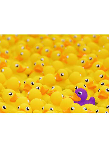 Ravensburger Puzzle 1.000 Teile Erwachsenenpuzzle 1000 Teile - Quietscheenten Ab 14 Jahre in bunt