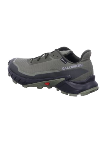 SALOMON Wanderschuhe ALPHACROSS 5 GTX Olvnig in Grün