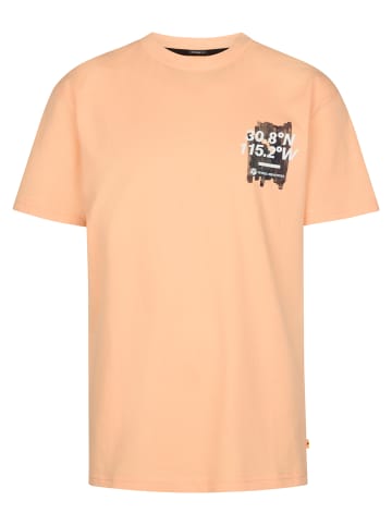 Petrol Industries T-Shirt mit Rückenprint Vaquero in Orange