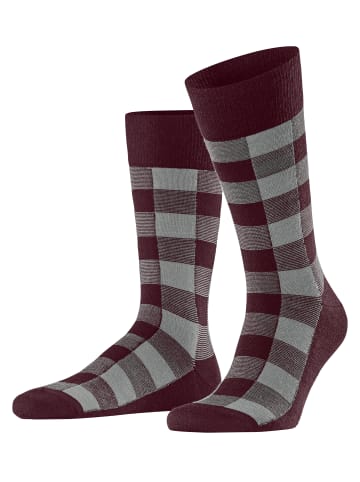 Burlington Buffalo Check Socke in Oxford