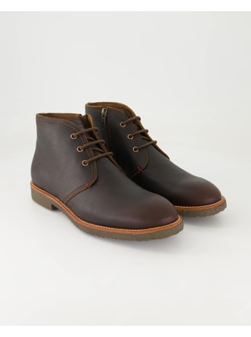 PANAMA JACK Winterstiefel in Braun