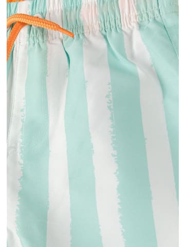 Minoti 2-er Pack Badeshorts 29SWIM205 in mint