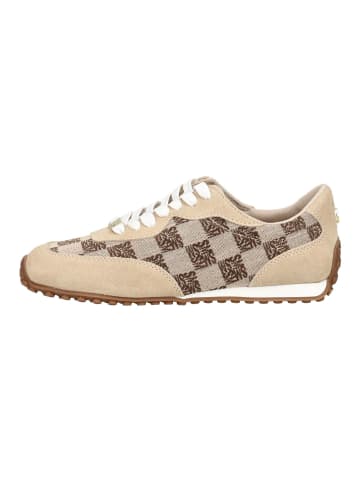 Steve Madden Sneaker CAMEOS-SM Braun/Beige