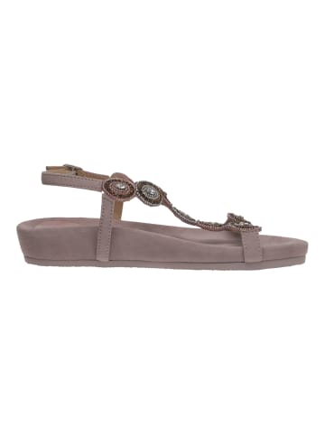 SALAMANDER Sandalen in Lilac