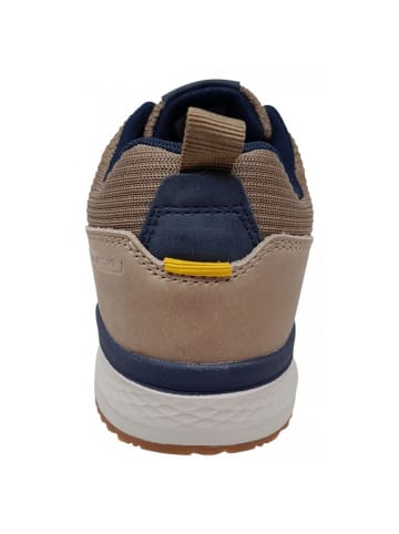 Camel Active sportlicher Schnürer  in Beige