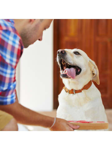 relaxdays Hunde-Intelligenzspielzeug in Natur/ Rot