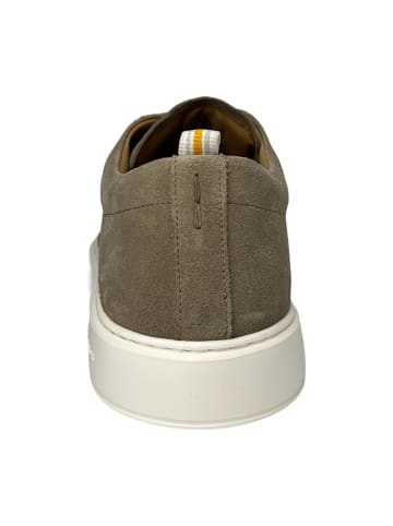 Ambitious Sportliche Schnürschuhe in Beige