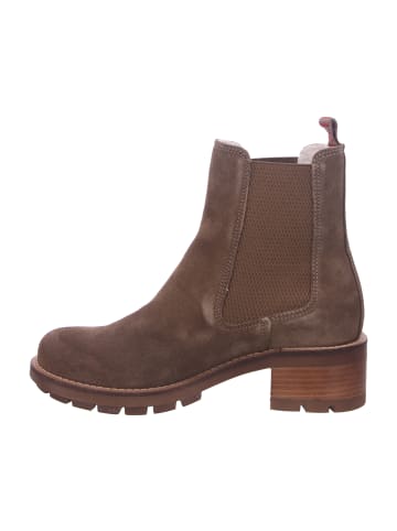 Tamaris Stiefelette in braun