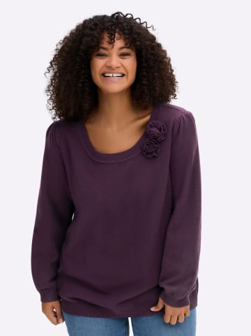 sheego Pullover in aubergine