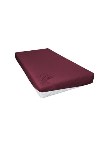 Hahn H.G. Hahn Spannbetttuch Primera Elastan Feinjersey in bordeaux