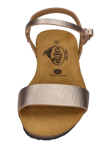 Plakton Sandalen FRAN AMBO 405725 in natur