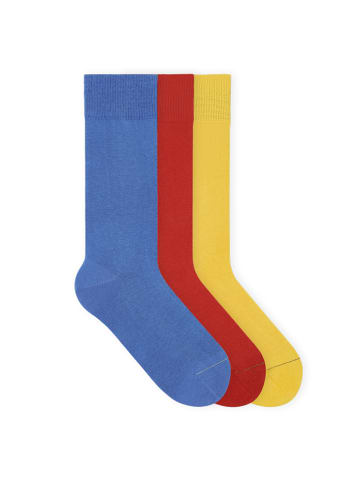 von Jungfeld Classic Socken-Set Signature Innenbund in Summer