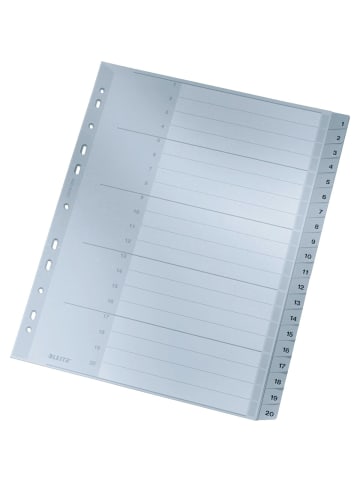 Leitz Register A4 1-20 PP grau mit Deckblatt