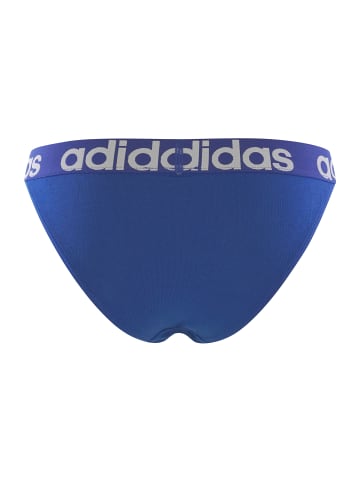 adidas Tanga Realasting Cotton in Blau