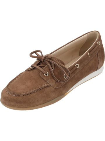 Nero Giardini Schnürschuhe in braun