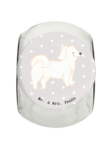 Mr. & Mrs. Panda Dose Havaneser Lebensretter ohne Spruch in Grau Pastell
