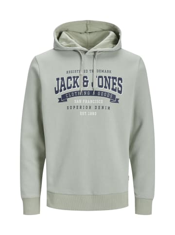 Jack & Jones Hoodie 'Logo2 Col' in hellgrün