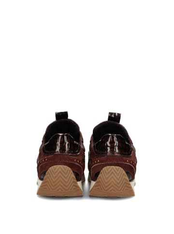 POELMAN Poelman VALERIA Damen Sneaker