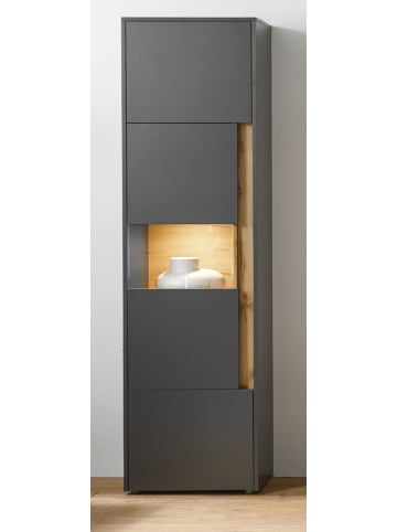 Furn.Design Vitrine grau matt, Eiche Wotan 50 x 197 cm, Vitrinenschrank 5 Fächer