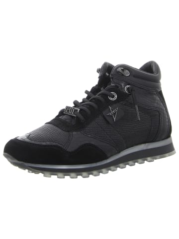 Cetti Sneaker in schwarz