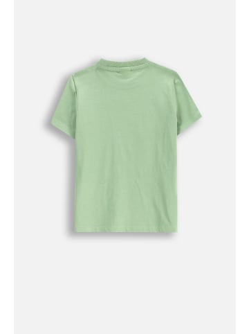 Coccodrillo T-Shirt mit kurzem Ärmel in grün